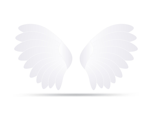 realistic white wings, vector - Vector, Image