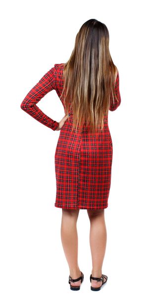 back view of standing young beautiful  woman. - Фото, изображение