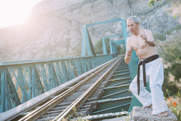 Hombre mayor practicando artes marciales
 - Foto, Imagen