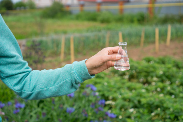 Hand with a test tube and plant. Fertilizer in laboratory glassware. - Foto, Bild