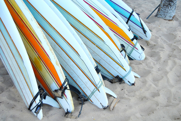 Waikiki surfovací prkna - Fotografie, Obrázek