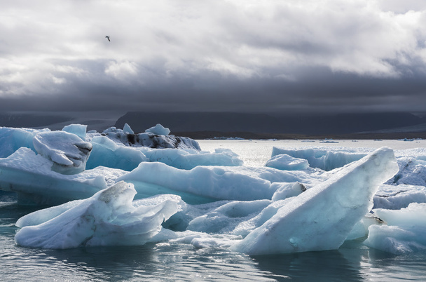 Muchos bloques de hielo en el lago Jokulsarlon, Islandia
 - Foto, imagen