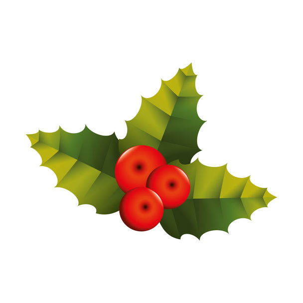 Kerst plant blad pictogram vectorafbeelding - Vector, afbeelding
