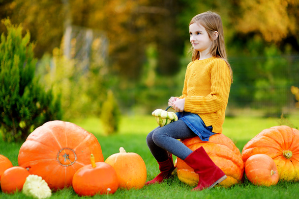 Adorable little girl on pumpkin patch - 写真・画像