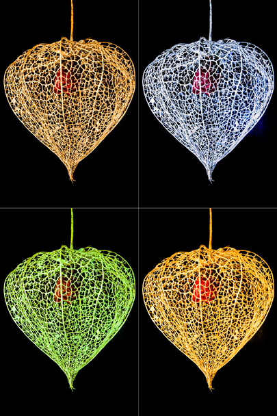 Color Lampion flor
 - Foto, imagen