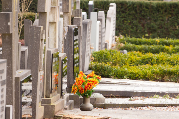 mezar taşındaki taze çiçekler - Fotoğraf, Görsel