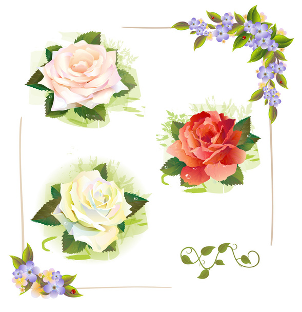 Set of roses. Vintage style. Imitation of watercolor painting. - Vektor, kép