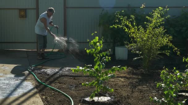 庭師は木や植物の水やりの後庭のコンクリートの通路の洗浄. - 映像、動画
