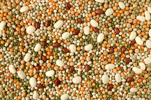 Beans and lentils. - Valokuva, kuva