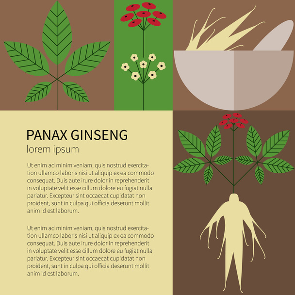 Иконки Panax Ginseng.Flat
  - Вектор,изображение