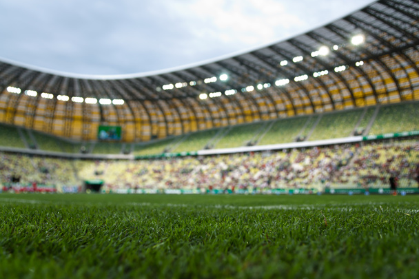 травяное поле стадиона
 - Фото, изображение