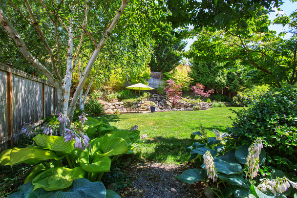 Backyard garden with beautiful landscape - Photo, Image
