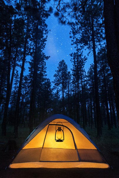 kampeertent in het bos - Foto, afbeelding