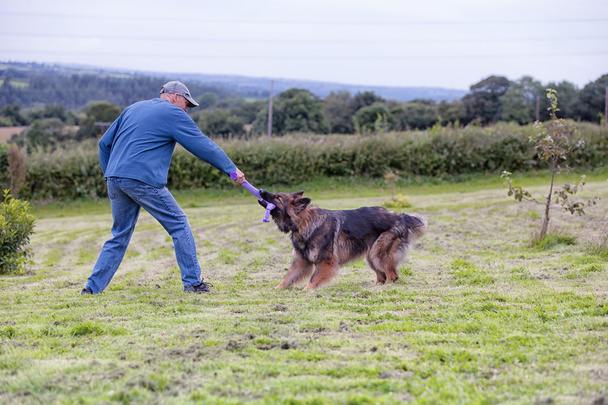 Çimde halat dışında köpeğiyle oynayan adam - Fotoğraf, Görsel