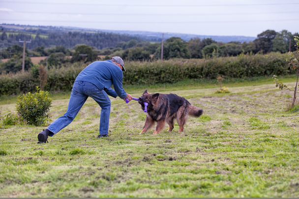Muž si hraje přetahování se psem venku na trávě - Fotografie, Obrázek
