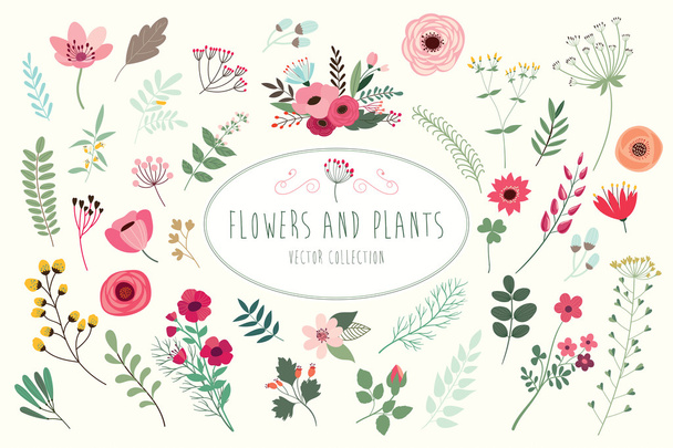 Hand drawn flowers and plants - Vector, Image