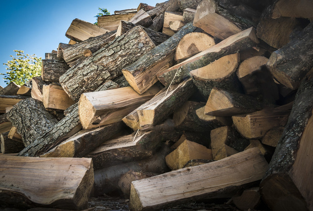 Pile of firewood - Φωτογραφία, εικόνα