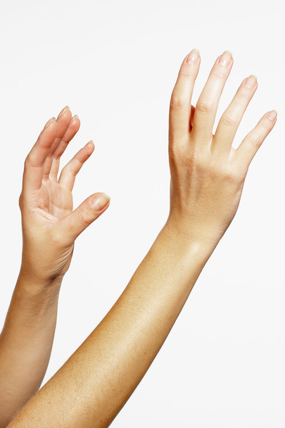 Woman hands - Foto, afbeelding