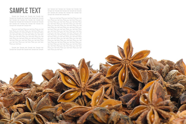 Star anise's detail - Photo, Image