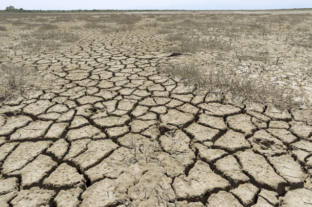 Dry Land Crecked Desert - Photo, Image