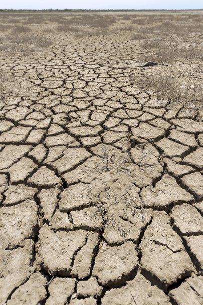 Suché půdy Crecked poušť - Fotografie, Obrázek