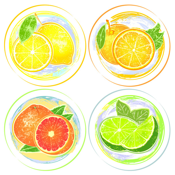 Juicy citrus fruits set - Vector, Image