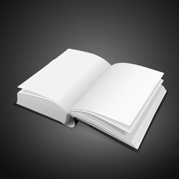 open blank book - Διάνυσμα, εικόνα