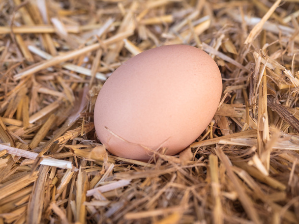 Close-up brown chicken eggs on a bed of straw - Photo, Image