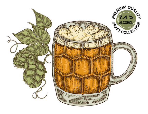 Copo de cerveja desenhado à mão com planta de lúpulo. Bebida alcoólica sketch vect
 - Vetor, Imagem