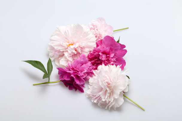 Fiore di peonia
 - Foto, immagini