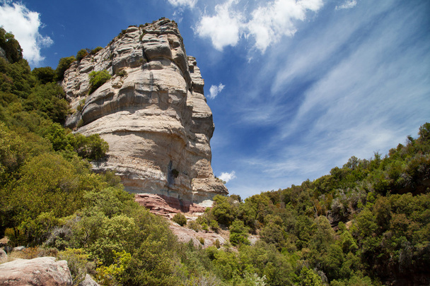 Rock formáció, a Collsacabra erdő - Fotó, kép