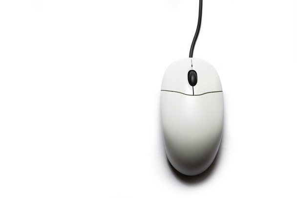 Computer mouse on the white background - Photo, Image