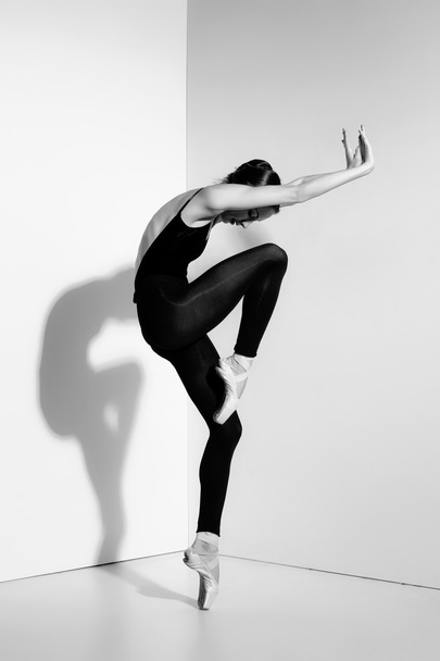 Ballerina in black outfit posing on pointe shoes, studio background. - Фото, зображення