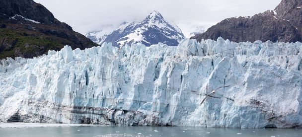 Alaskan gletsjer Panorama - Foto, afbeelding