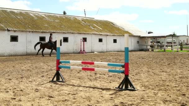 Γυναίκα άλογο άλματα μέσα από το φράγμα στο έφιππος αργή κίνηση - Πλάνα, βίντεο