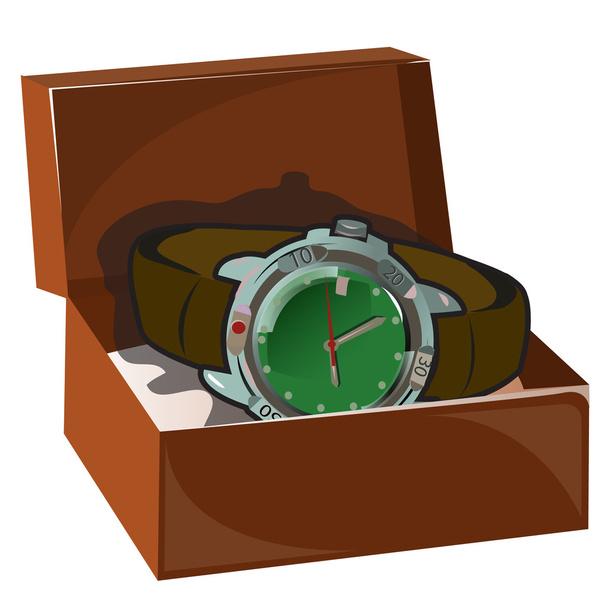 Mens classic retro watch with leather strap in box - Vector, Imagen