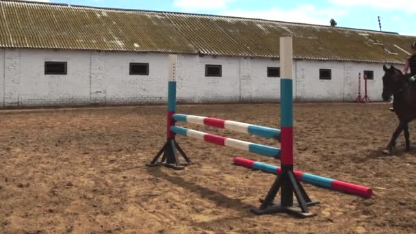 Лошадиная женщина прыгает через барьер на лошадях замедленной съемки
 - Кадры, видео