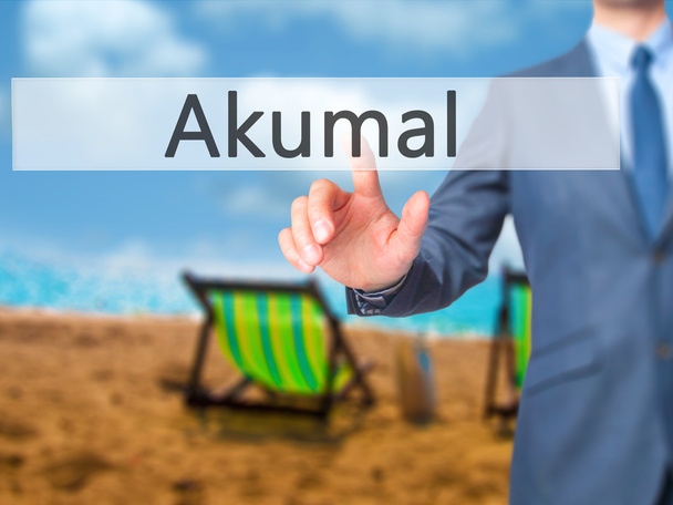 Akumal -  Businessman press on digital screen. - Foto, Imagem