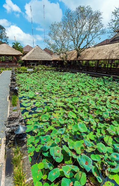 Lotus Temple with Pond, Ubud, Bali - Photo, Image