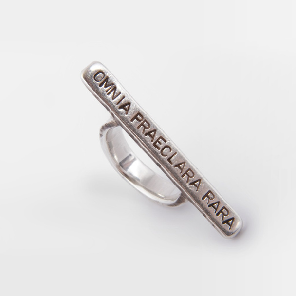 Кованое серебряное кольцо ручной работы
 - Фото, изображение