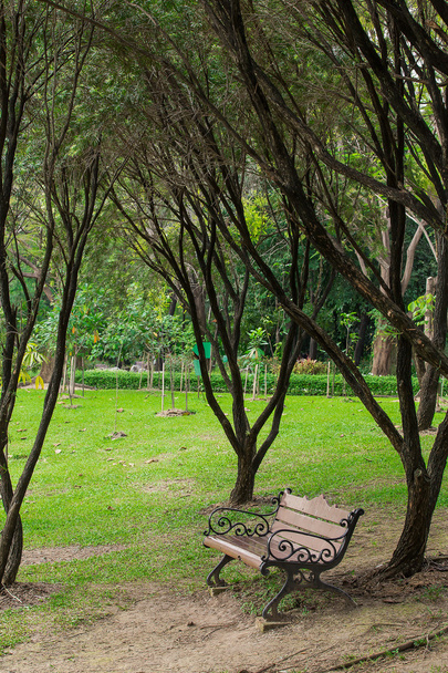 Houten stoelen op gras in de tuin - Foto, afbeelding