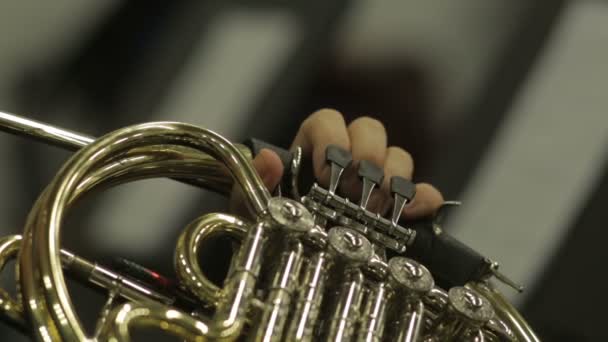Waldhorn in den Händen eines Musikers - Filmmaterial, Video