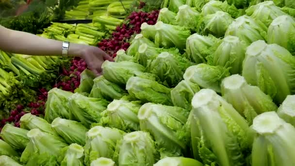 Mujer seleccionando lechuga verde en tienda de comestibles
 - Imágenes, Vídeo