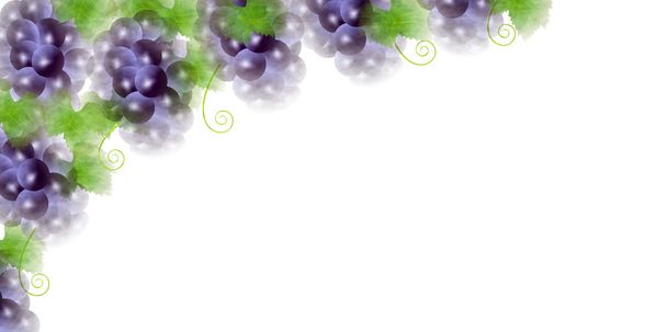 Fondo de otoño de fruta de uva
 - Vector, Imagen
