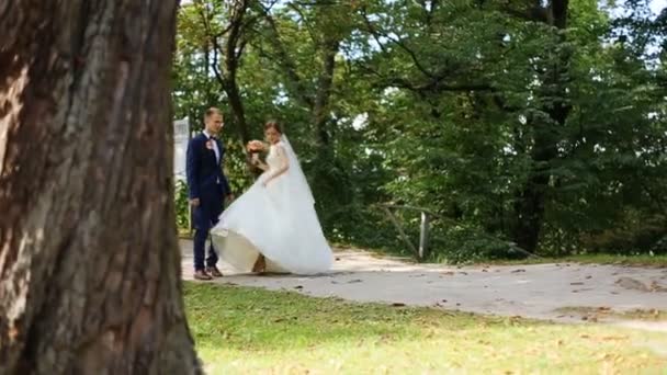 Novia y novio felices caminando y tomados de la mano en el parque
 - Metraje, vídeo