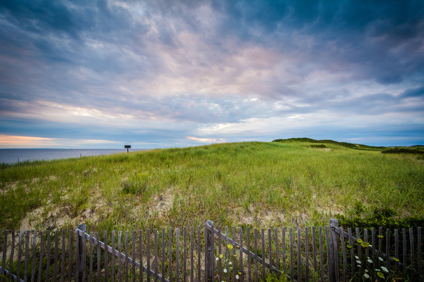 Zandduinen en grassen bij zonsondergang, in de provincie landt op Cape  - Foto, afbeelding