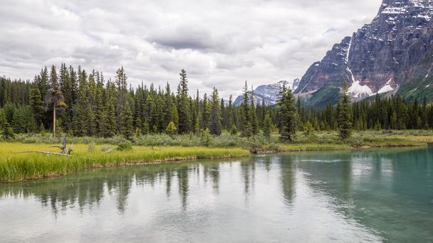 Banff National Park, Bow Lake in the Canadian Rockies, - Фото, зображення