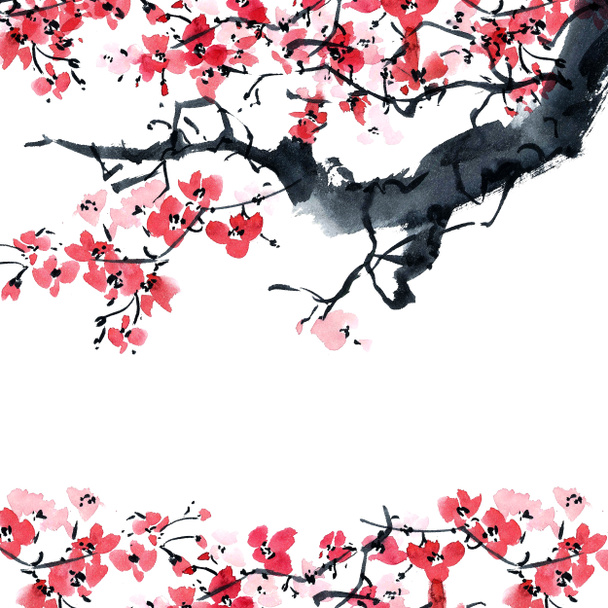 Sakura. Ilustración de flores.. - Foto, imagen