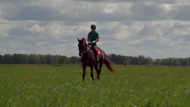 Młoda kobieta jeźdźca na koniu na polu - Materiał filmowy, wideo
