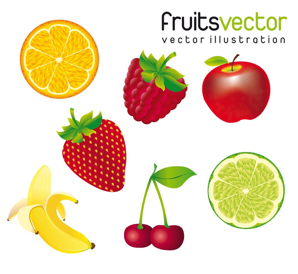 Früchte - Vektor, Bild